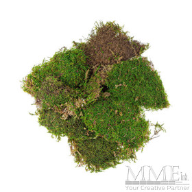 Natural Moss